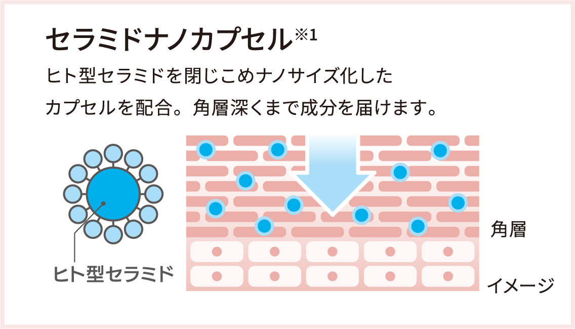 セラミドナノカプセル※1 ヒト型セラミドを閉じこめナノサイズ化したカプセルを配合。角層深くまで成分を届けます。図：ヒト型セラミドを包んだカプセルが角層深くまで届く様子（イメージ）