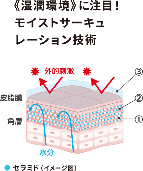 湿潤環境に注目!モイストサーキュレーション技術